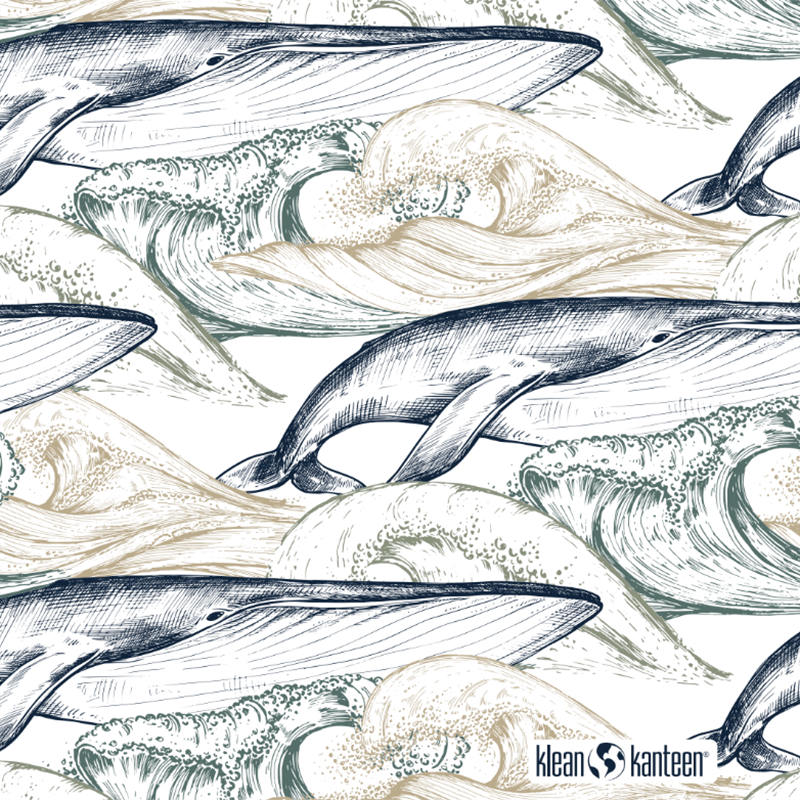 20oz-tkwide-with-twist-cap-ocean-day-o5 20oz_tkwide_bottle_seasonal_ocean_day_whale_artwork_square.png