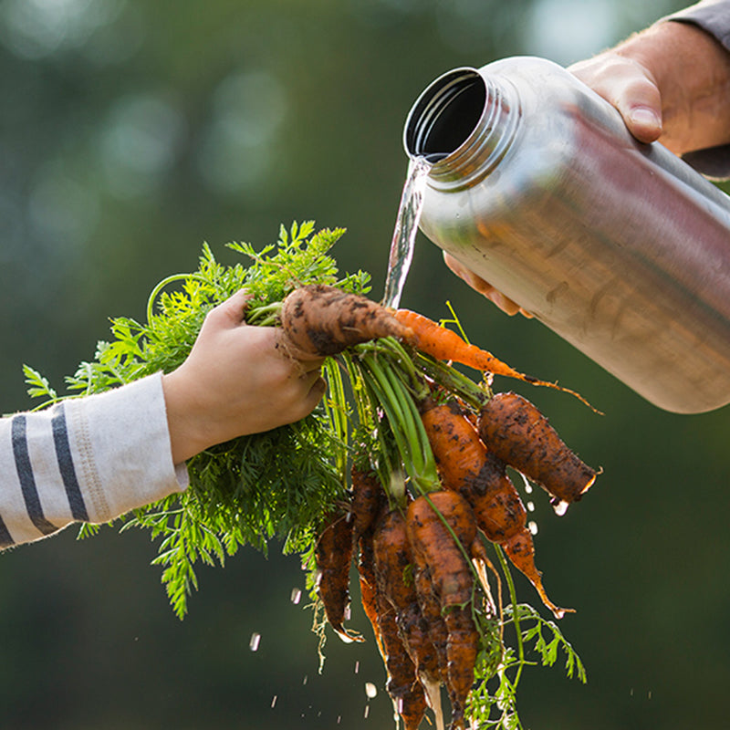 64oz-wide-with-loop-cap-r8 64oz_wide_mouth_bottle_carrots_rinse_square.jpg