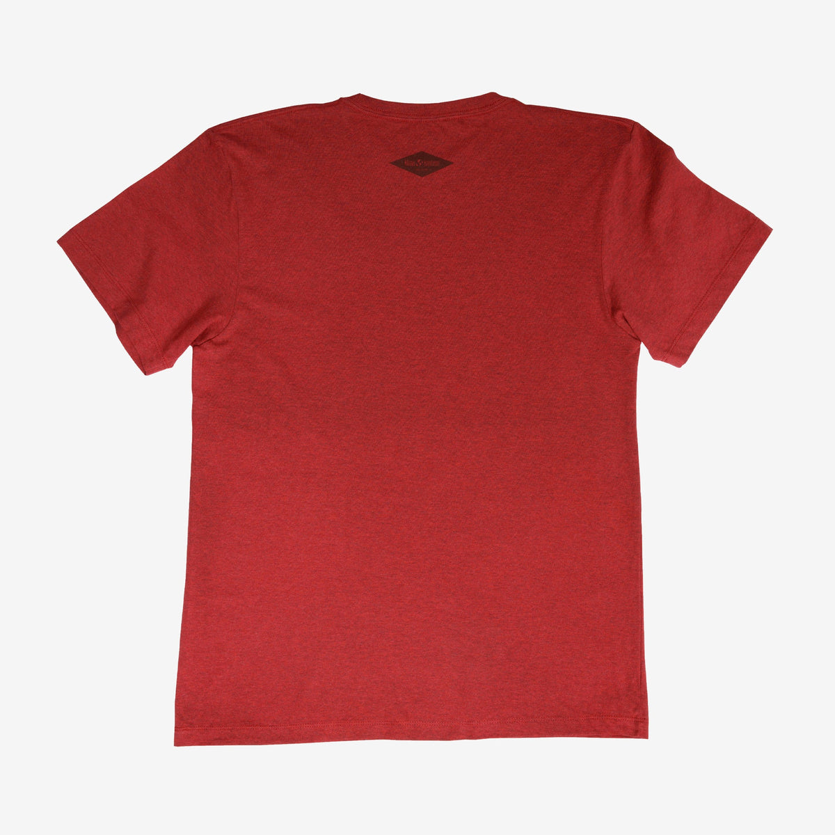 backyard-t-shirt-n7 Shirt_Mtn_Back.jpg